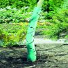 Protectie spiralata pentru pomi